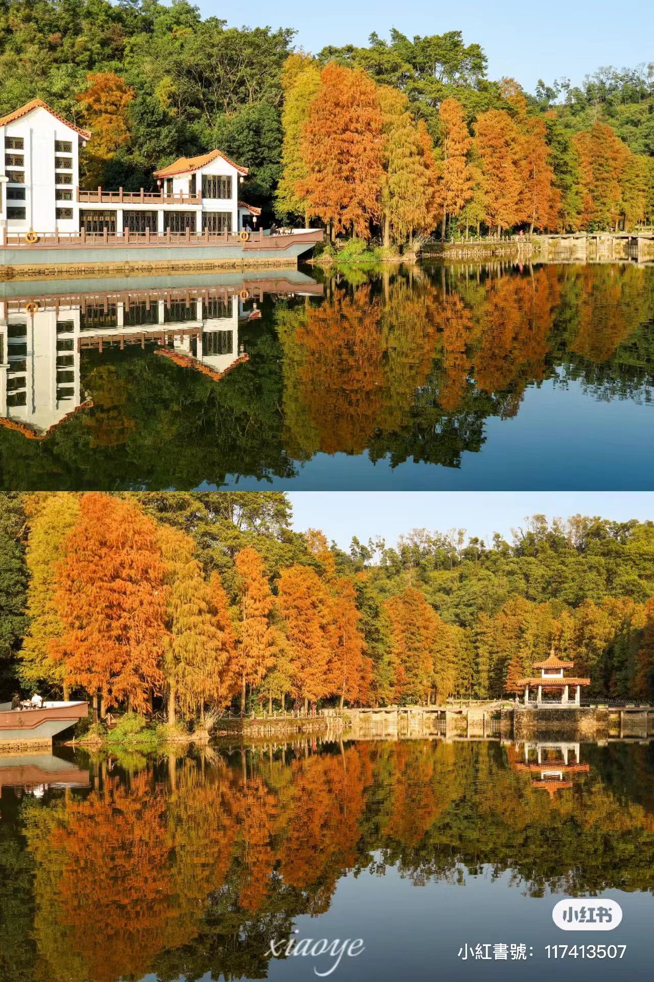 仙湖植物園