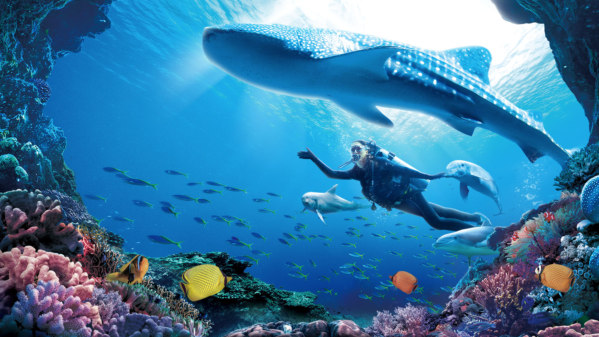 珠海長隆海洋王國——鯨鯊館