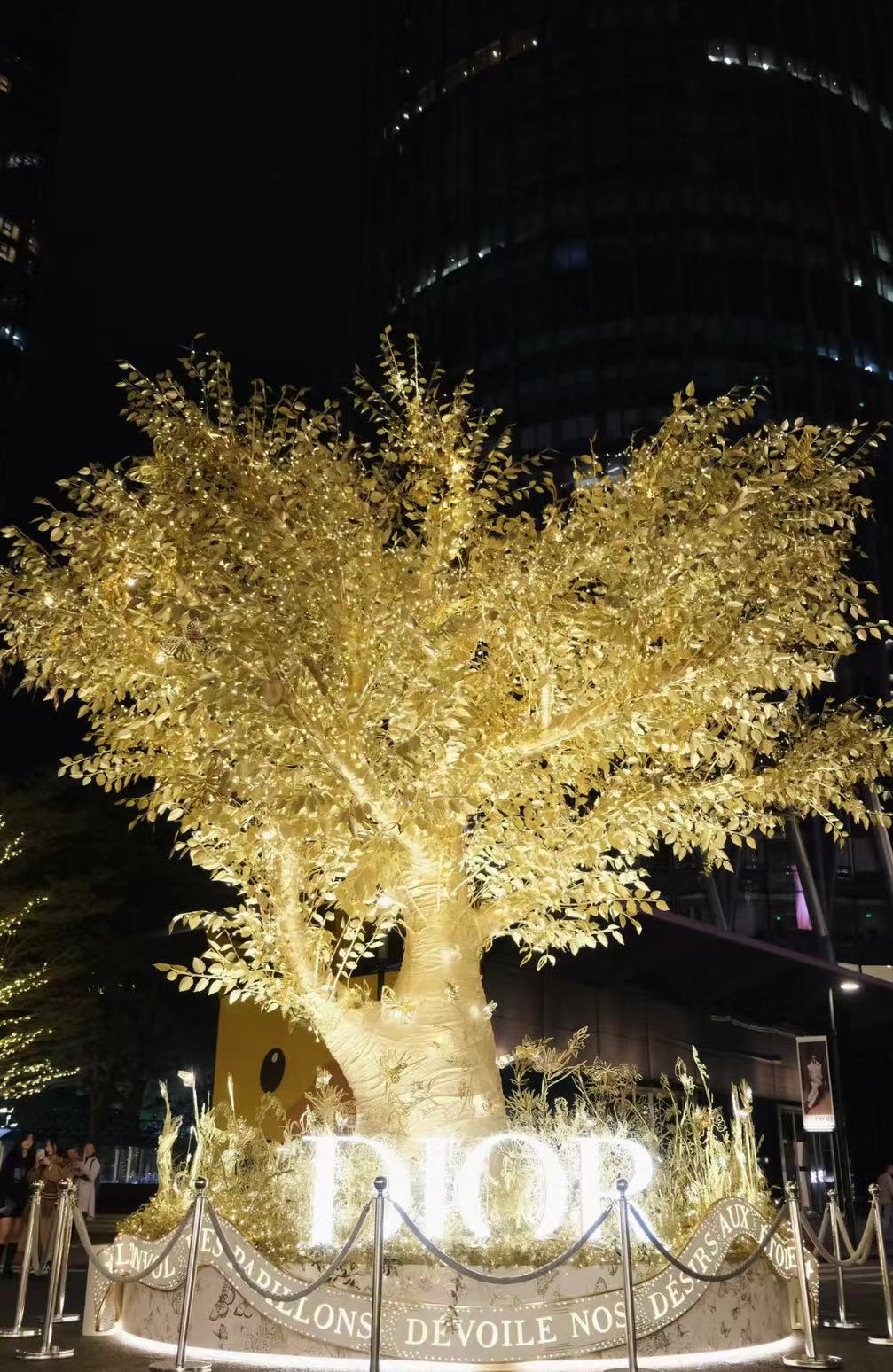 深圳灣萬象城目前仲有聖誕樹可以打卡！