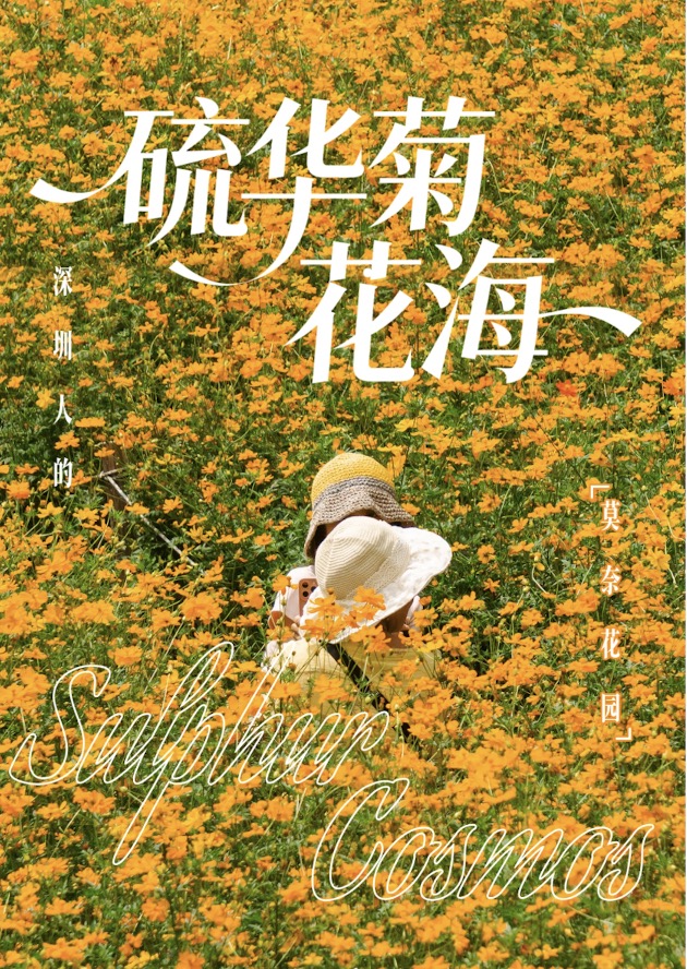 【深圳賞花好去處2025】杜鵑瀑布花海/硫華菊花海等深圳5大賞花點 附交通資訊 6 西麗生態公園