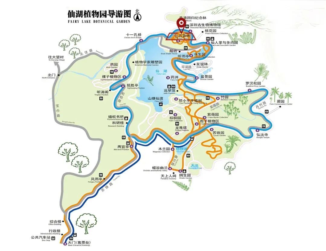 仙湖植物園路線圖