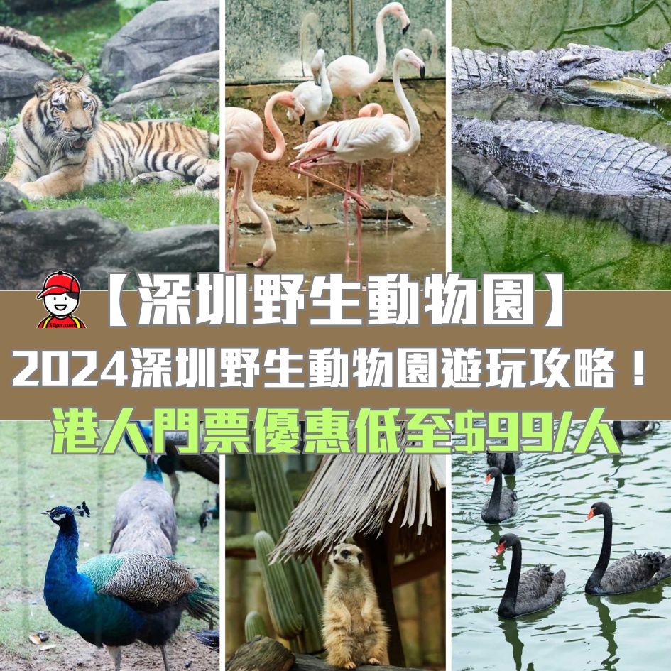 深圳野生動物園攻略