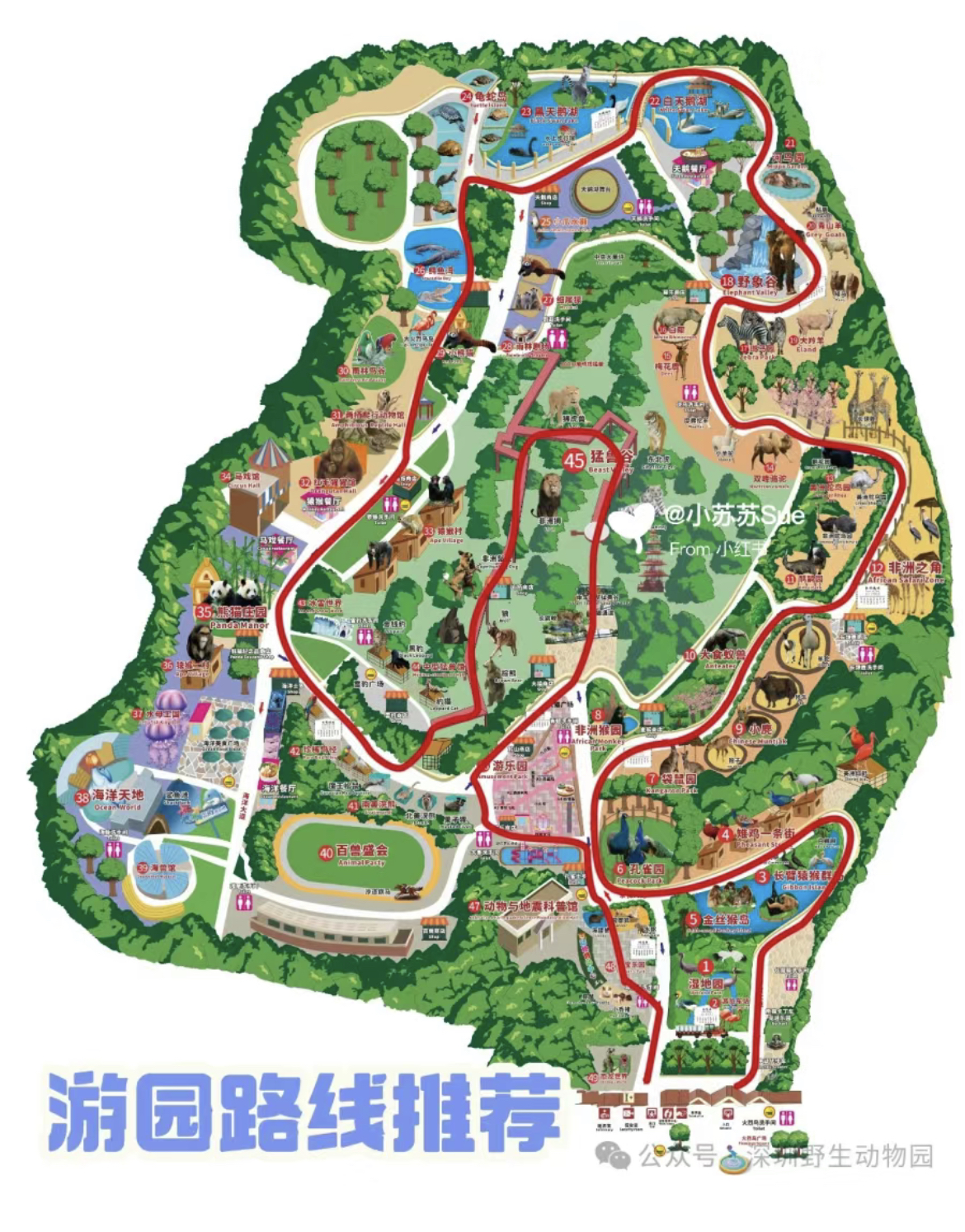 深圳野生動物園遊玩路線
