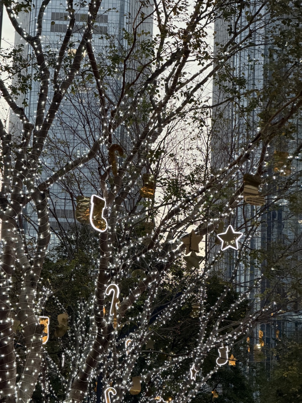 【深圳萬象天地】深圳灣口岸地鐵直達 餐廳/玩樂/酒店/超市攻略 7 南山萬象天地聖誕