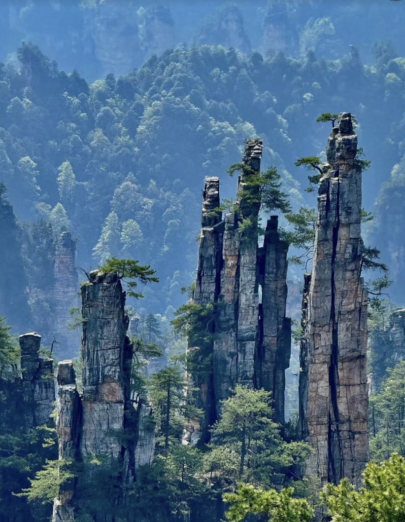【張家界旅行團/景點】父母最愛旅行點!深度遊張家界旅行團攻略 5 張家界森林公園