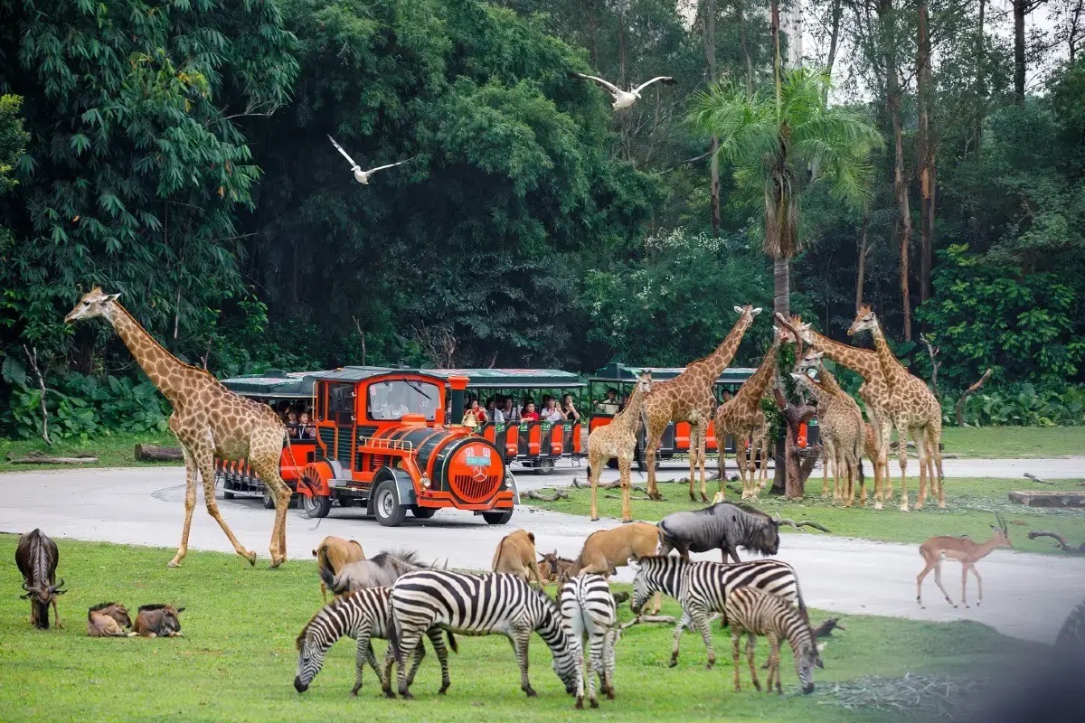 長隆動物園