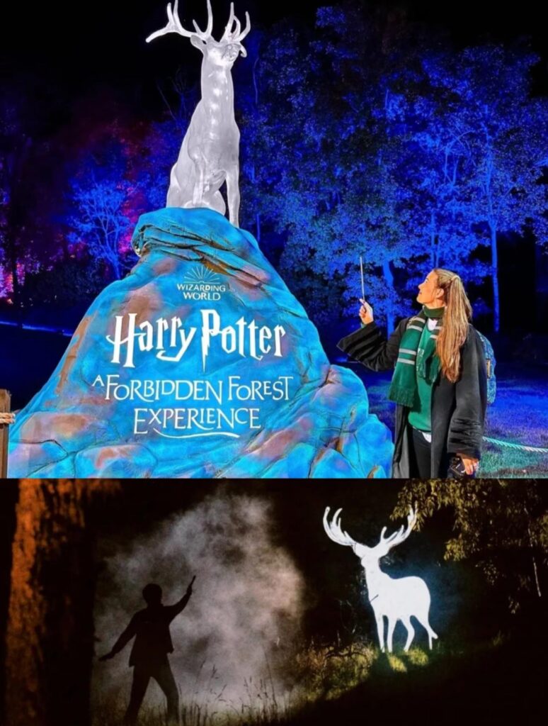 【深圳哈利波特禁忌森林體驗】魔法夜遊10月正式登陸深圳!即睇門票價格、活動時間、交通地址、遊玩亮點詳情 11 深圳哈利波特禁忌森林體驗夜遊_中國深圳_深圳龍華_深圳市龍華區觀瀾街道牛湖水碧道_哈利波特_怪獸與牠們的產地