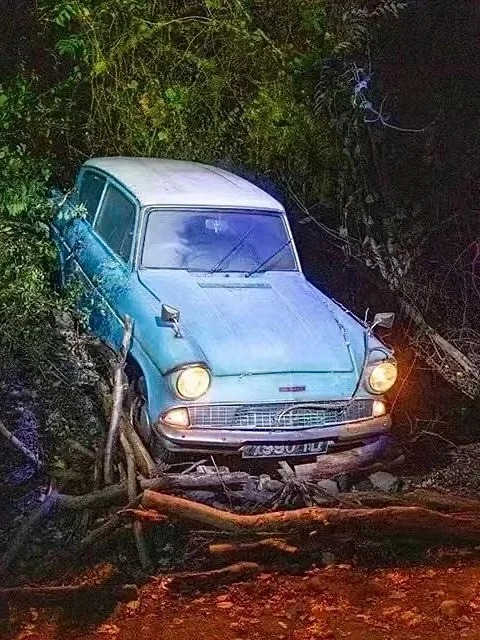【深圳哈利波特禁忌森林體驗】魔法夜遊10月正式登陸深圳!即睇門票價格、活動時間、交通地址、遊玩亮點詳情 14 深圳哈利波特禁忌森林體驗夜遊_中國深圳_深圳龍華_深圳市龍華區觀瀾街道牛湖水碧道_哈利波特_怪獸與牠們的產地
