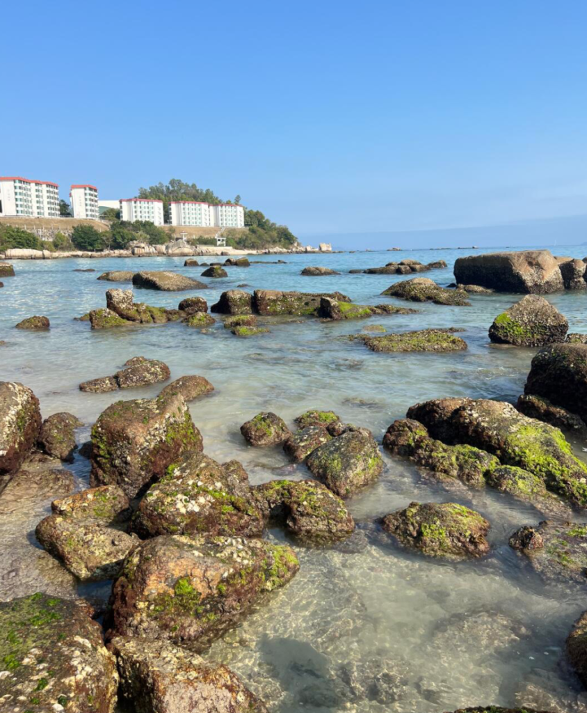 【深圳海灘介紹】南澳第一沙灘、金沙灣沙灘、大梅沙等人氣7個超靚必去海灘!附交通/門票攻略 10 花海間沙灘
