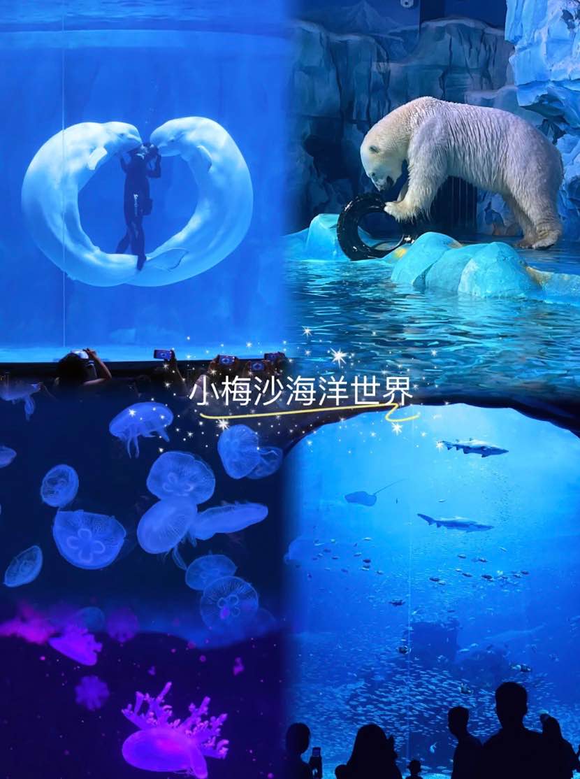 【小梅沙海洋世界】地鐵直達深圳最新海洋館 門票/交通/開放時間懶人包 9 小梅沙海洋世界