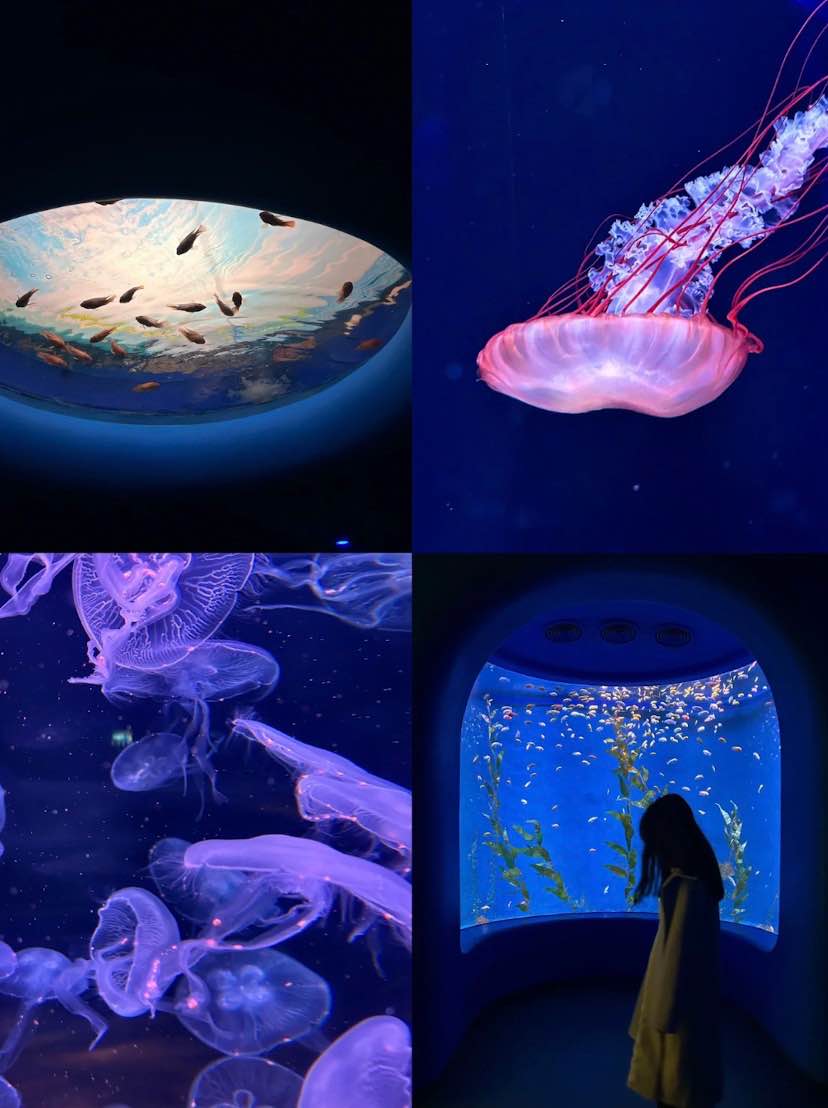 歡樂海岸海洋奇夢館