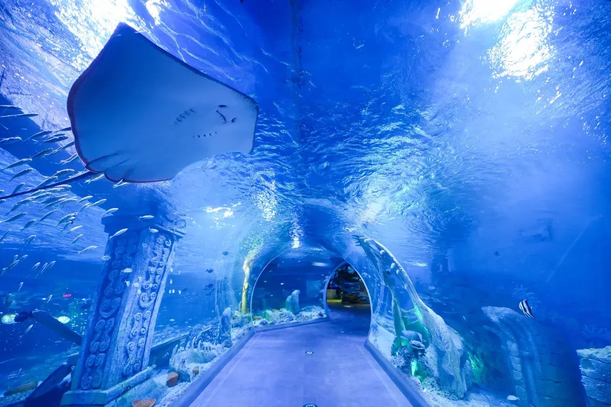 【深圳海洋館攻略】深圳四大海洋館介紹 地鐵直達/歡樂海岸/觀瀾湖/小梅沙海洋世界 6 深圳恒遠海立方環遊城