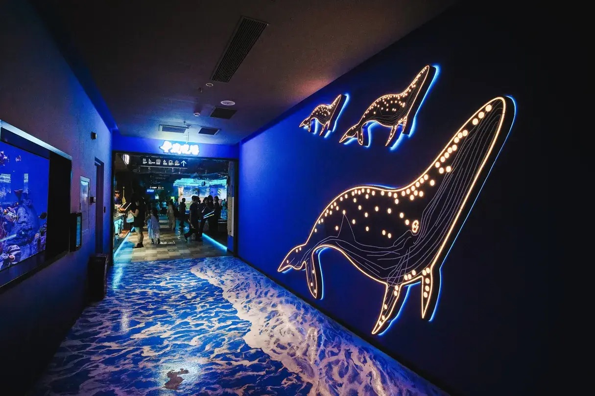 【深圳海洋館攻略】深圳四大海洋館介紹 地鐵直達/歡樂海岸/觀瀾湖/小梅沙海洋世界 7 深圳恒遠海立方環遊城
