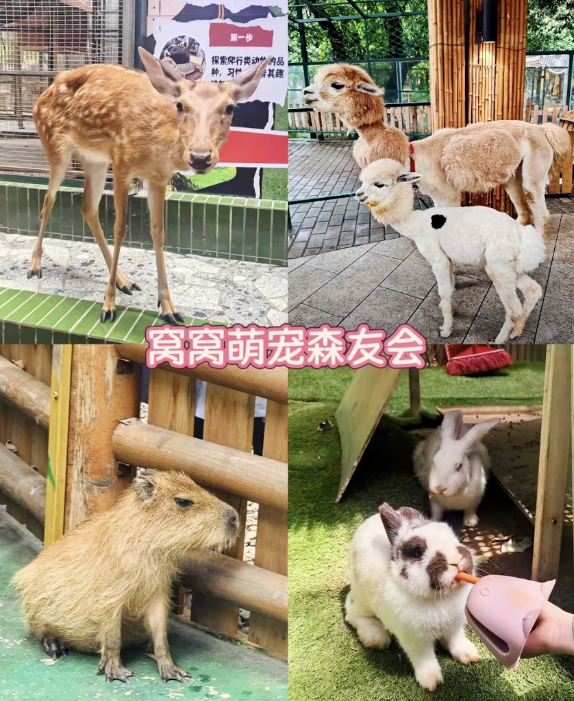 WOWO窩窩萌寵森友會