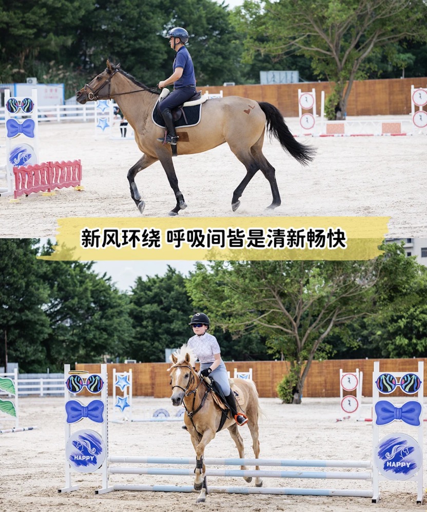 千為騎士國際馬術俱樂部