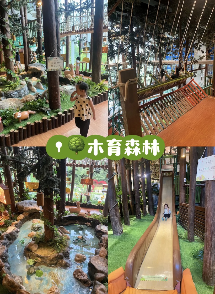 木育森林
