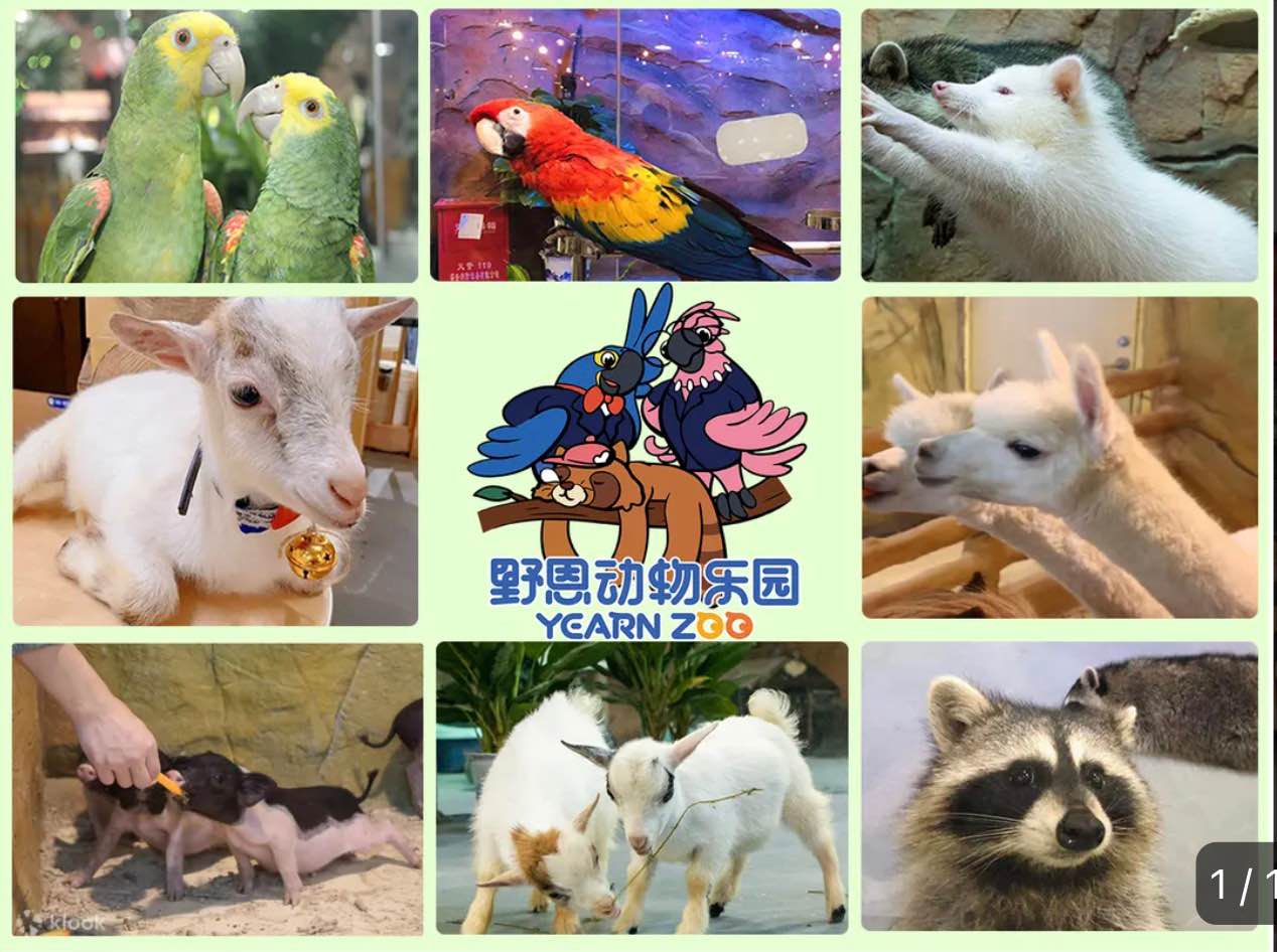 深圳野恩動物園