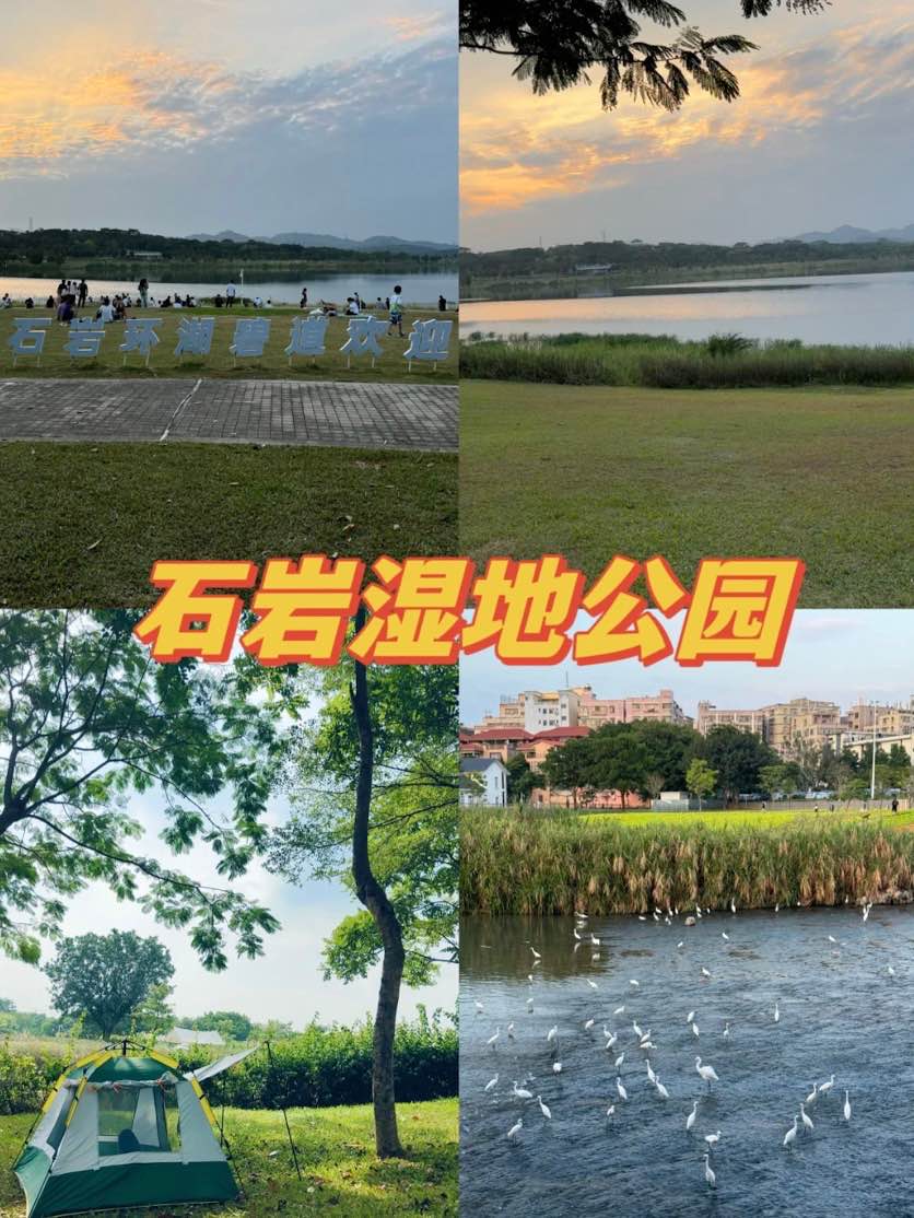 【深圳地鐵13號線】一期北段即將開通!深圳灣口岸直達南山西麗+寶安 附好去處/路線圖 11 石岩湖濕地公園