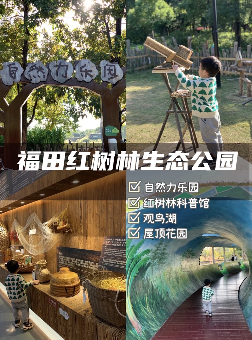 福田紅樹林生態公園