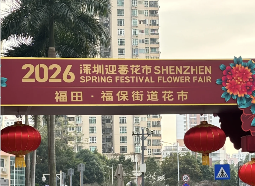 【深圳年貨市場2026】4大掃貨市集+3大絕美花市 (附地鐵交通懶人包) 6 福田福保街道花市
