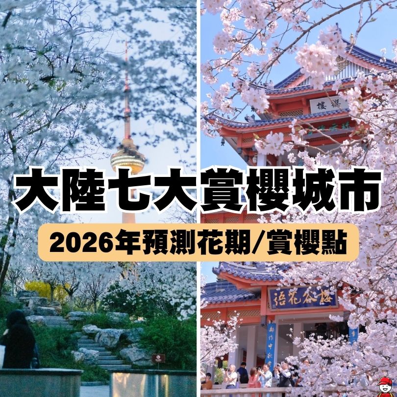 大陸櫻花2026
